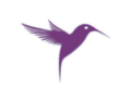 Hummingbird Wing Logo